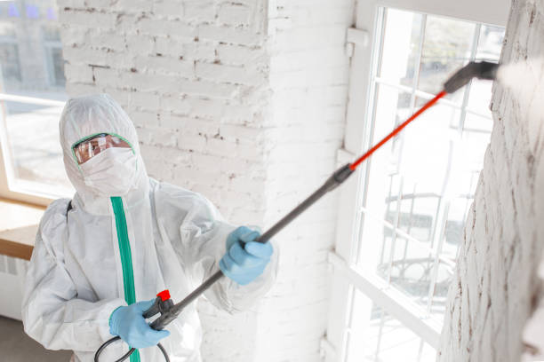 Best Post-Construction Mold Inspection  in Highland, CA