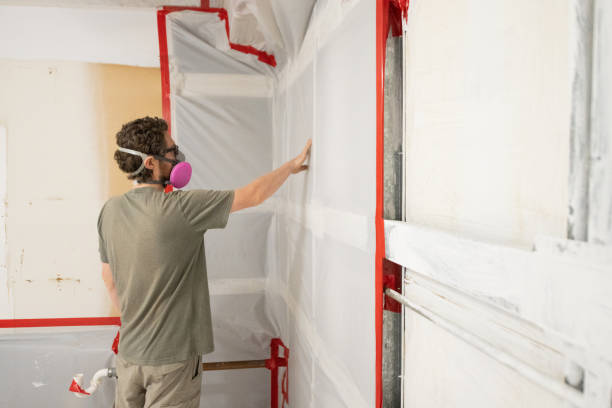  Highland, CA Mold Removal Pros