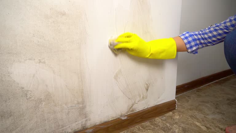Best Emergency Mold Remediation  in Highland, CA
